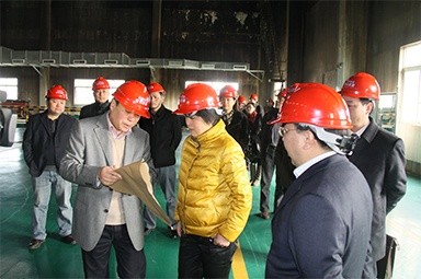 2012年1月31日，时任黄冈市委书记鲁俊携带市发改委等市级部门掌管人到公司调研