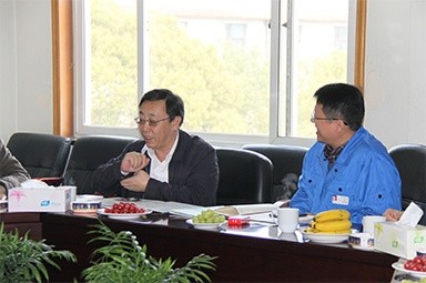 2013年3月18日，时任国度工信部节能司副司长杨铁生一行莅临公司参观领导