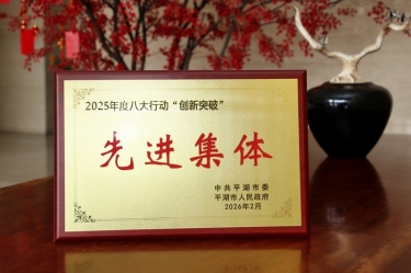 策马扬鞭启新程！888集团电子游戏(中国游)有限公司官网纸业在平湖市三级干部大会上荣获“创新突破”双项荣誉